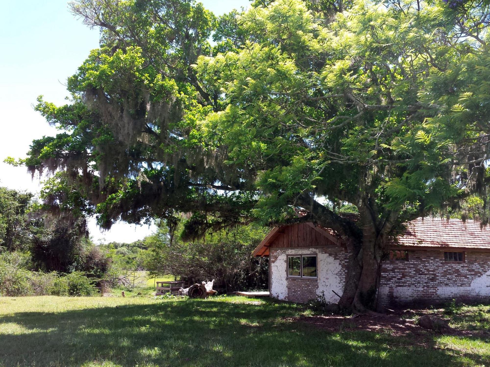 Tavares Aldeia Santuario Das Aves חדר תמונה