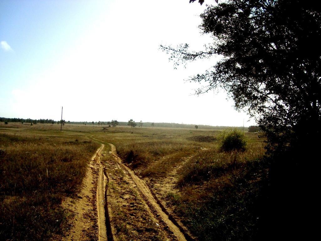 Tavares Aldeia Santuario Das Aves מראה חיצוני תמונה