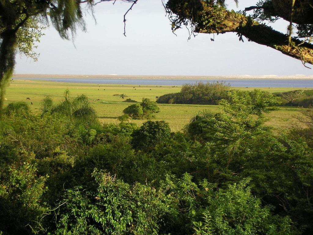 Tavares Aldeia Santuario Das Aves מראה חיצוני תמונה