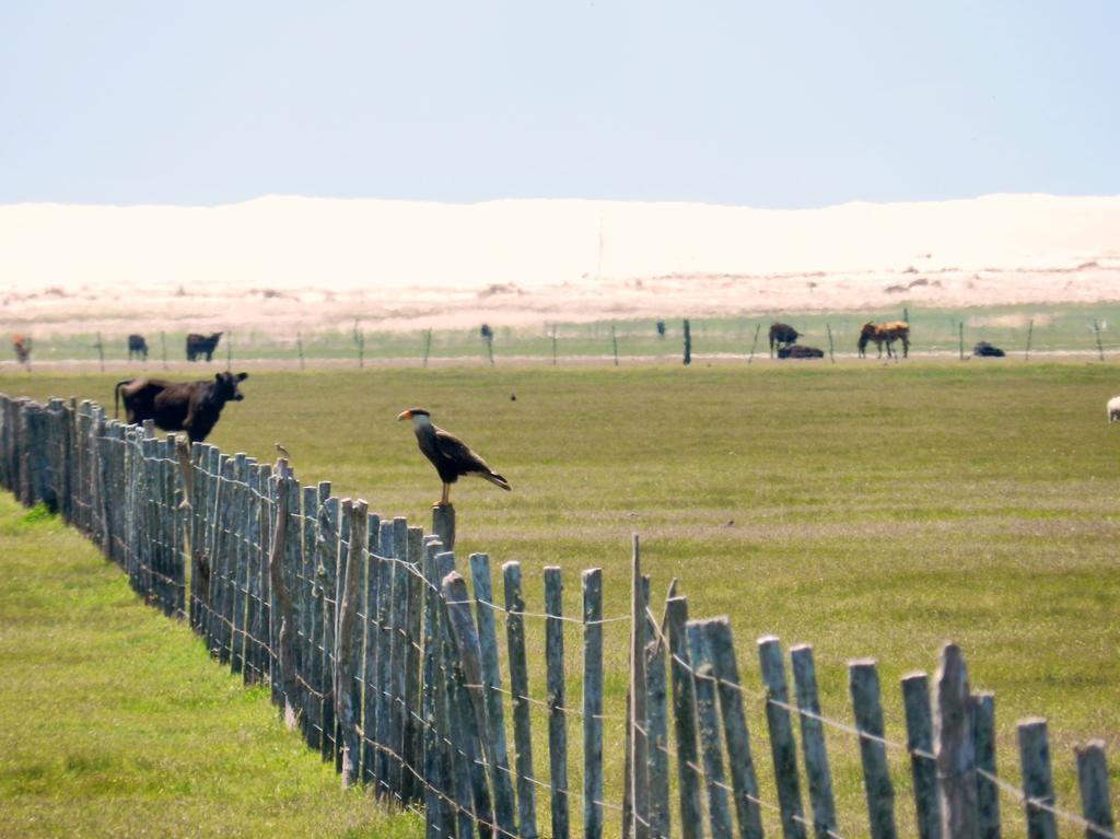 Tavares Aldeia Santuario Das Aves מראה חיצוני תמונה