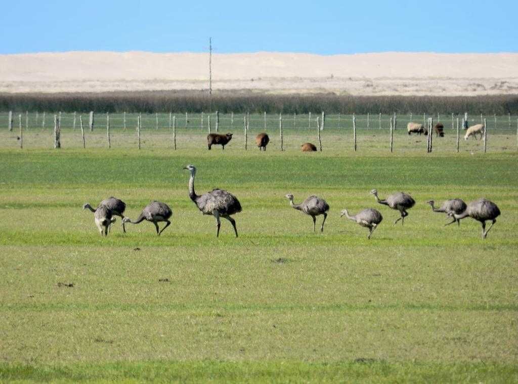 Tavares Aldeia Santuario Das Aves מראה חיצוני תמונה