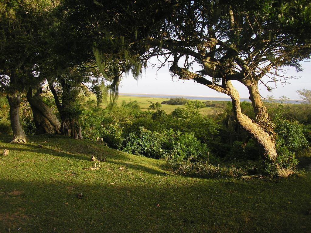 Tavares Aldeia Santuario Das Aves מראה חיצוני תמונה