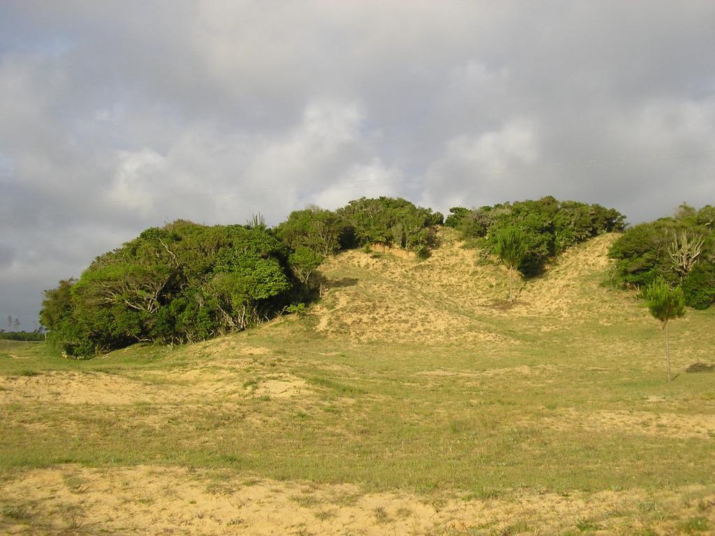 Tavares Aldeia Santuario Das Aves מראה חיצוני תמונה